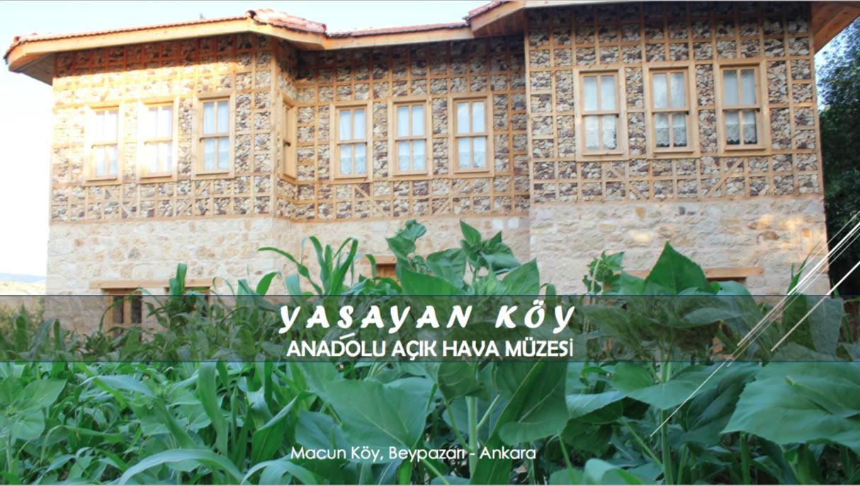 מלון Kizilcasogut Yasayan Koy מראה חיצוני תמונה